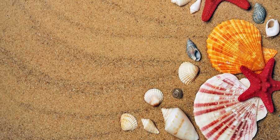 Anspruch auf Urlaubsgeld nach Kündigung: Das müssen Sie wissen Anspruch auf Urlaubsgeld nach Kündigung: Das müssen Sie wissen