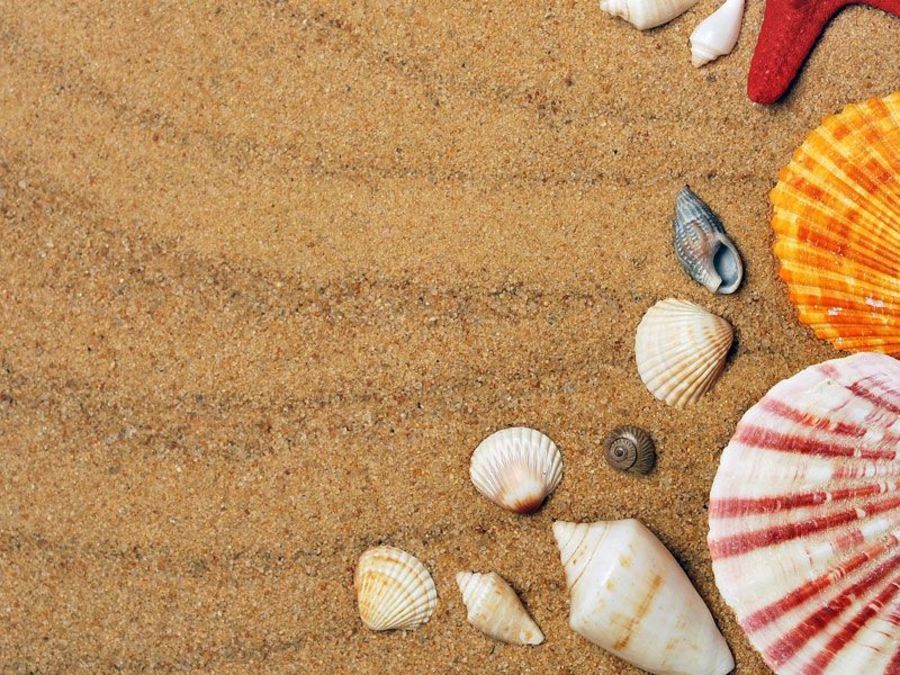 Anspruch auf Urlaubsgeld nach Kündigung: Das müssen Sie wissen