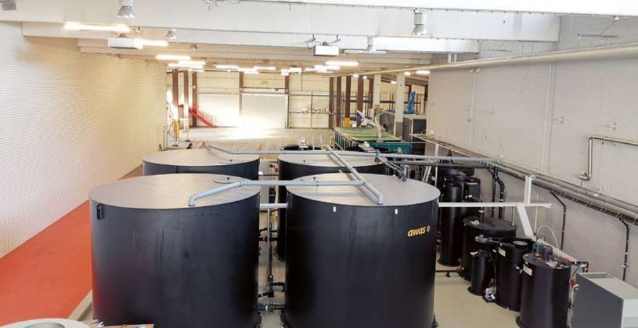 AWAS International Schrottplatzlösungen AWAS International Schrottplatzlösungen