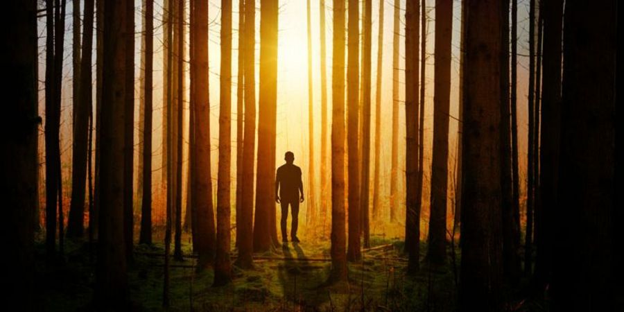 Thomas Pyczak: Was Stephen King und Management verbindet