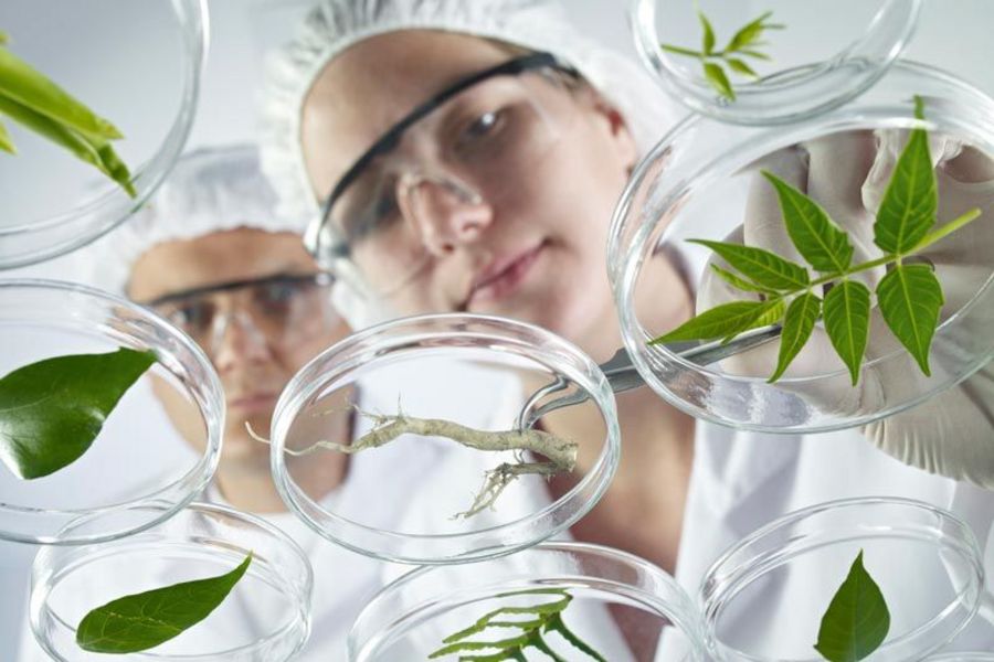 Apomedica Forschung und Entwicklung Apomedica Forschung und Entwicklung