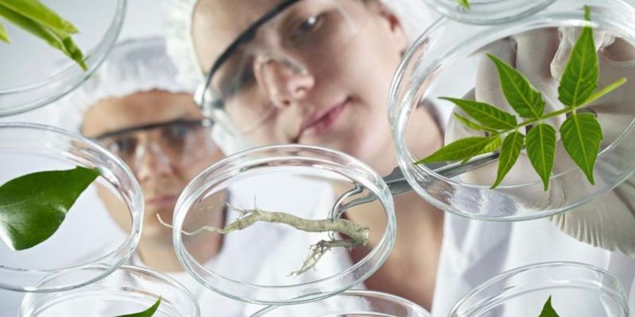 Apomedica Forschung und Entwicklung Apomedica Forschung und Entwicklung