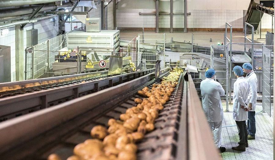Die Produktion von Elea. Die Produktion von Elea.