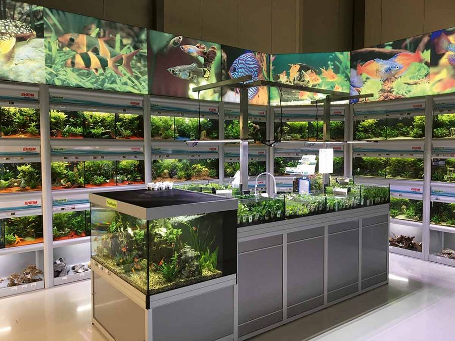 Die Nummer 1 im Schweizer Zoofachhandel Die Nummer 1 im Schweizer Zoofachhandel