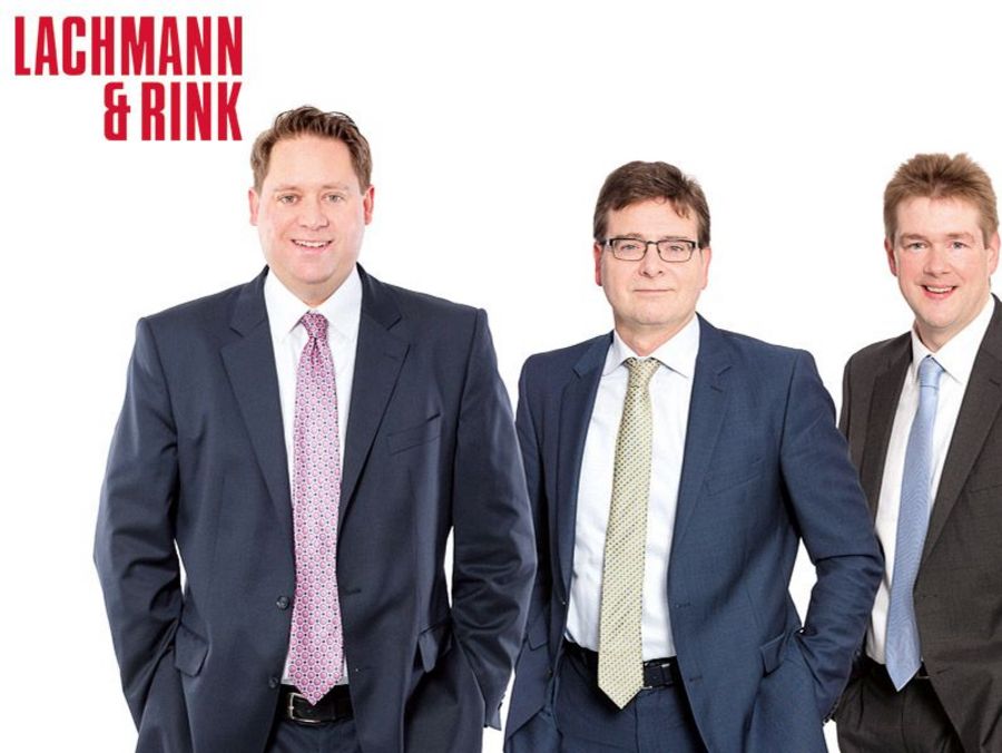 Die Problemlöser