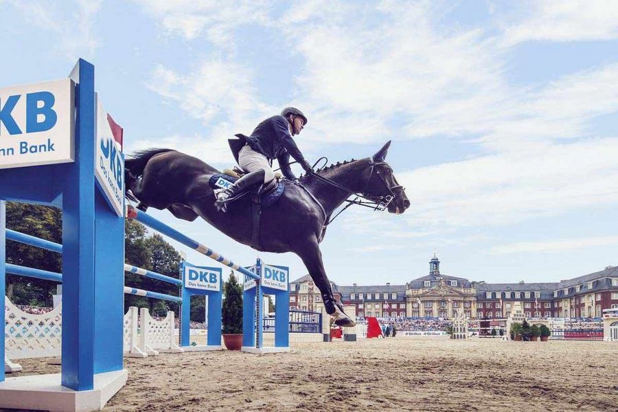 DKB Reitsport DKB Reitsport