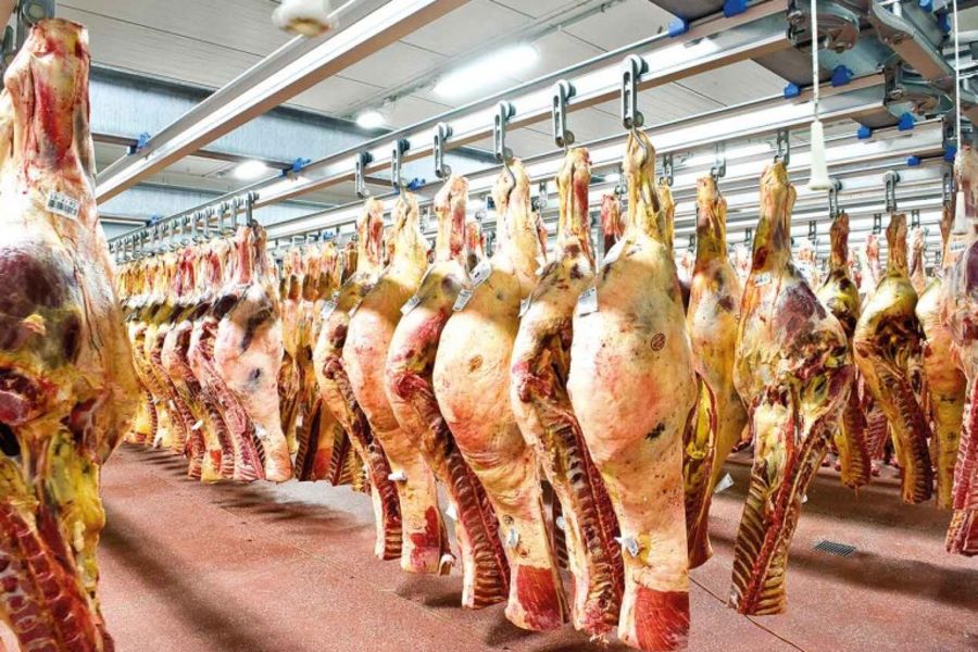 ISO-zertifizierte Abläufe: Blick in die Produktion ISO-zertifizierte Abläufe: Blick in die Produktion