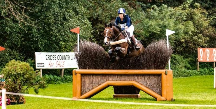 Carolin Hörning Reitsport
