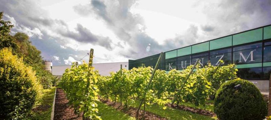 KUNZMANN Weinkellerei - Außenansicht KUNZMANN Weinkellerei - Außenansicht