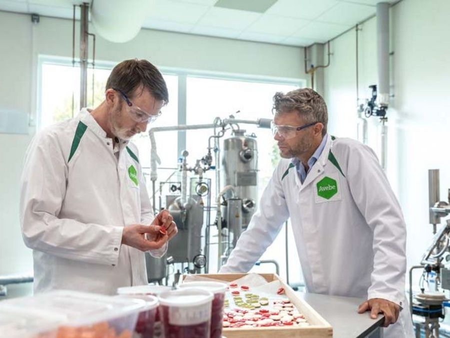 Kraft aus der Knolle – lokal und fleischlos Kraft aus der Knolle – lokal und fleischlos