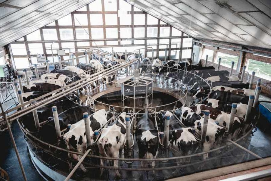 Hemme Milch - Melkkarussel Hemme Milch - Melkkarussel