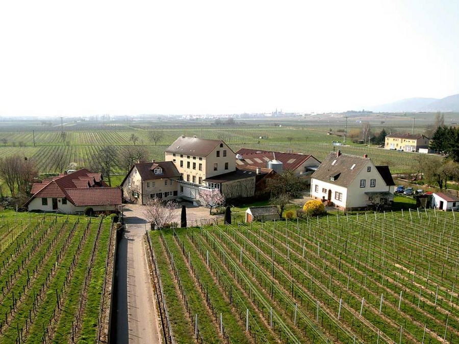 Hammermühle Hammermühle