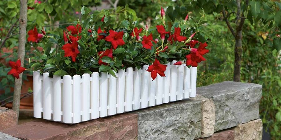 Geli GmbH Blumenkasten Geli GmbH Blumenkasten