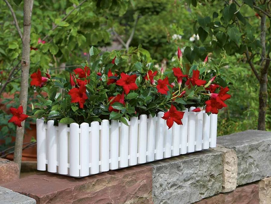 Geli Blumenkasten Geli Blumenkasten
