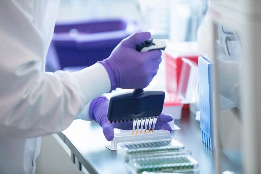 Merck Sharp & Dohme Laborarbeiten Merck Sharp & Dohme Laborarbeiten
