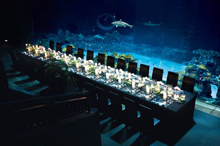 Stockheim Catering Hamburg Galerie Stockheim Catering Hamburg Galerie