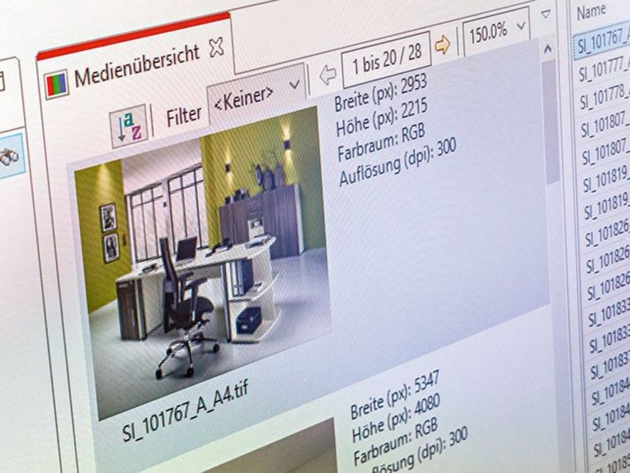 Eggheads Softwareansicht Eggheads Softwareansicht
