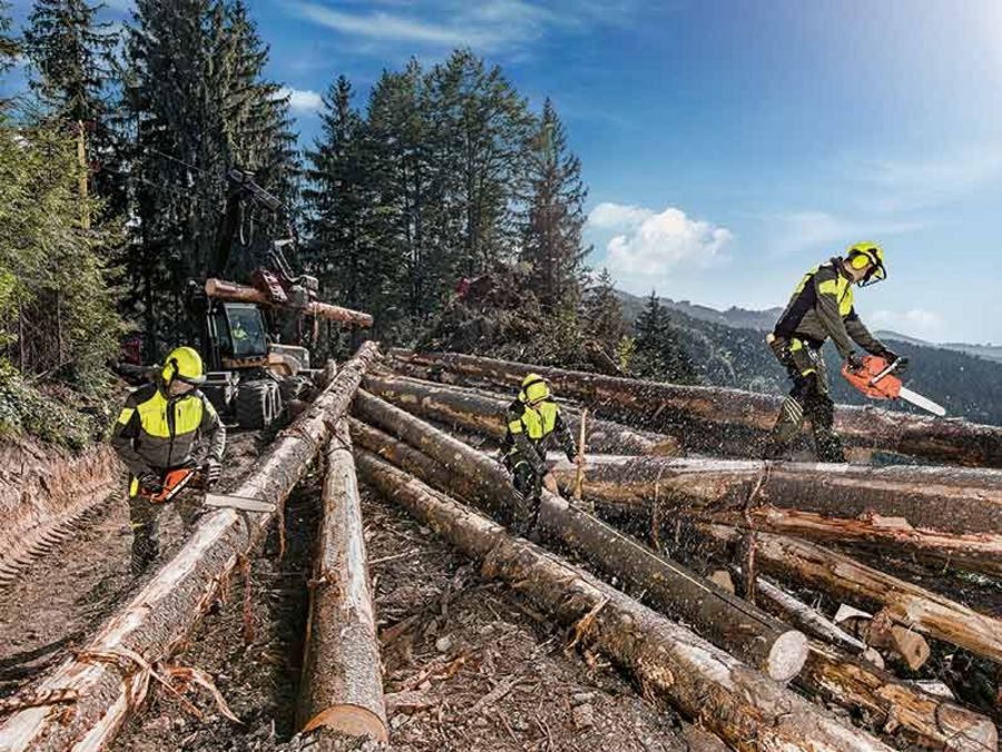 Paul H. Kübler Holzfällerarbeiten Paul H. Kübler Holzfällerarbeiten