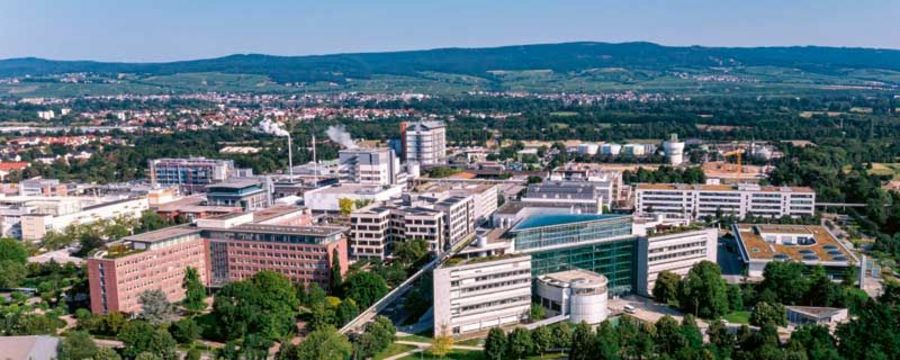 Boehringer Ingelheim Pharma Ingelheim Boehringer Ingelheim Pharma Ingelheim