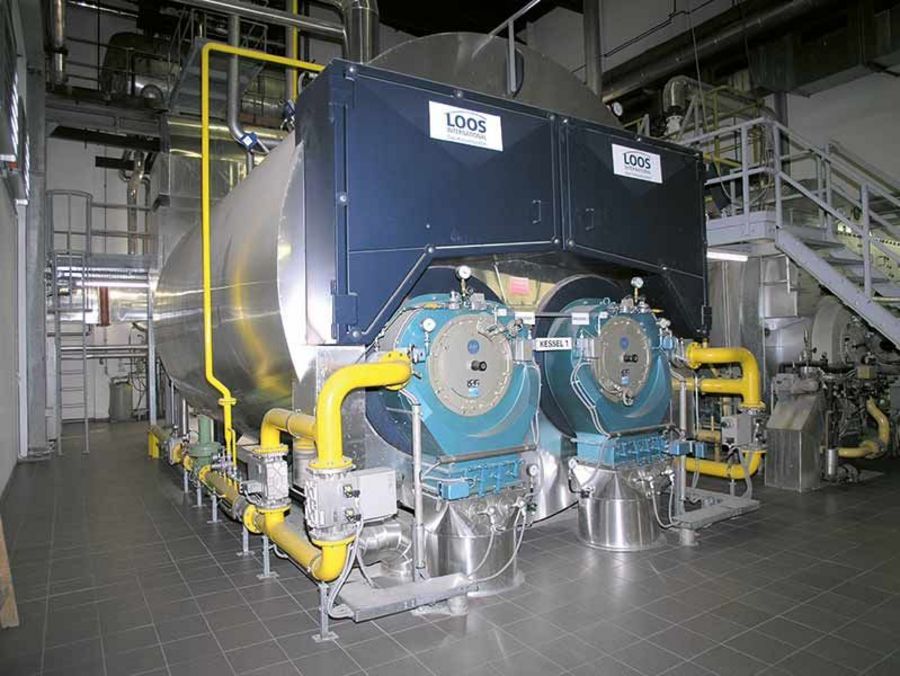 RAY Egelhof Industrie-Gasbrenner RAY Egelhof Industrie-Gasbrenner