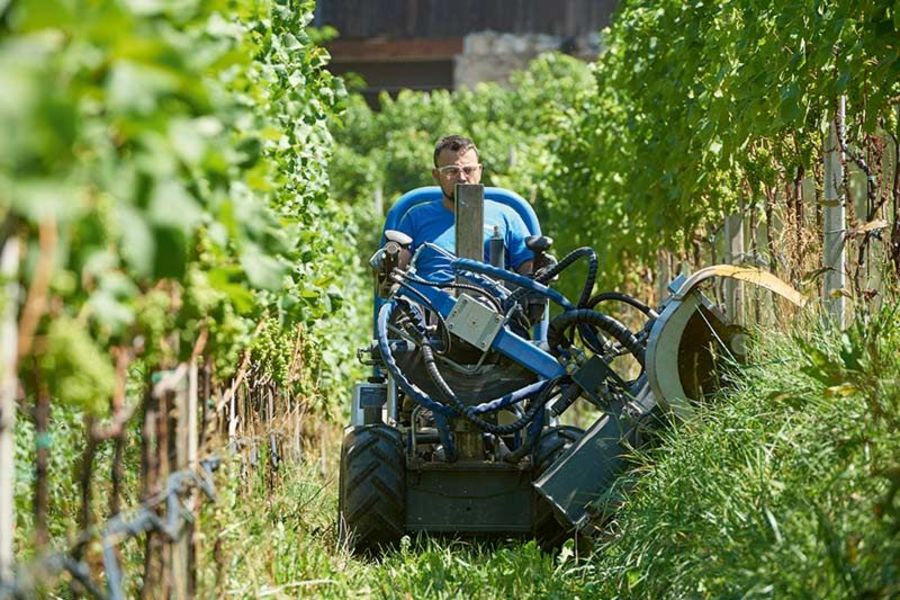 WM AGRU Technics Vitrac im Einsatz WM AGRU Technics Vitrac im Einsatz