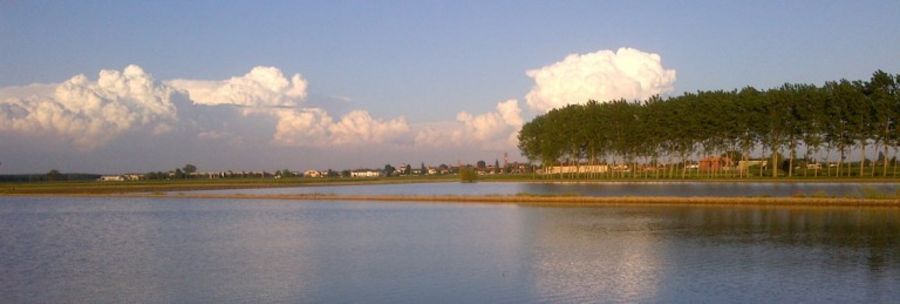 Die Reisfelder in der Lombardei zählen auf Qualitätspestizide von Novafito Die Reisfelder in der Lombardei zählen auf Qualitätspestizide von Novafito