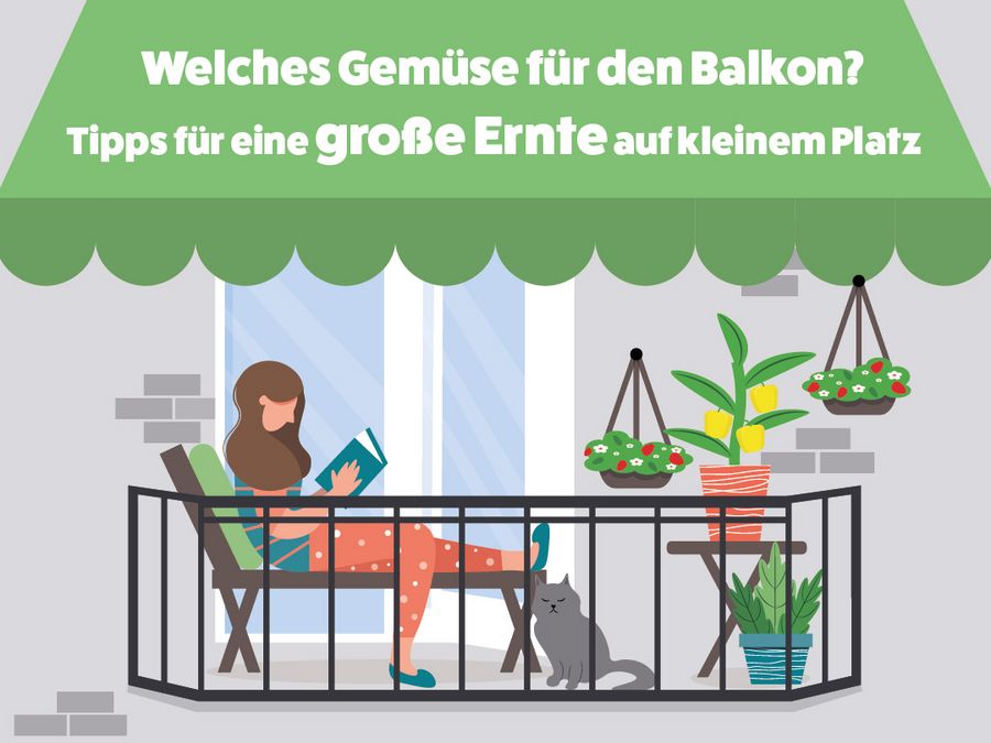 Welches Gemüse für den Balkon?