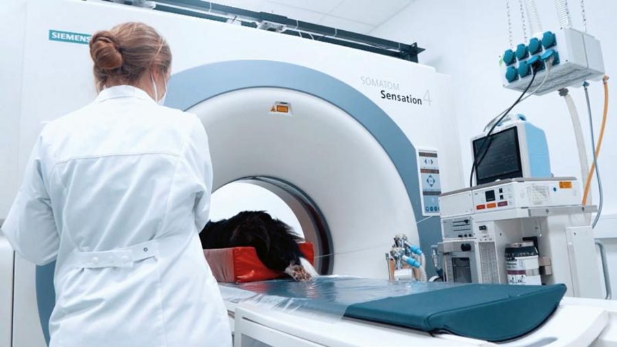 Tiergesundheitszentrum Grußendorf Moderne Diagnostik