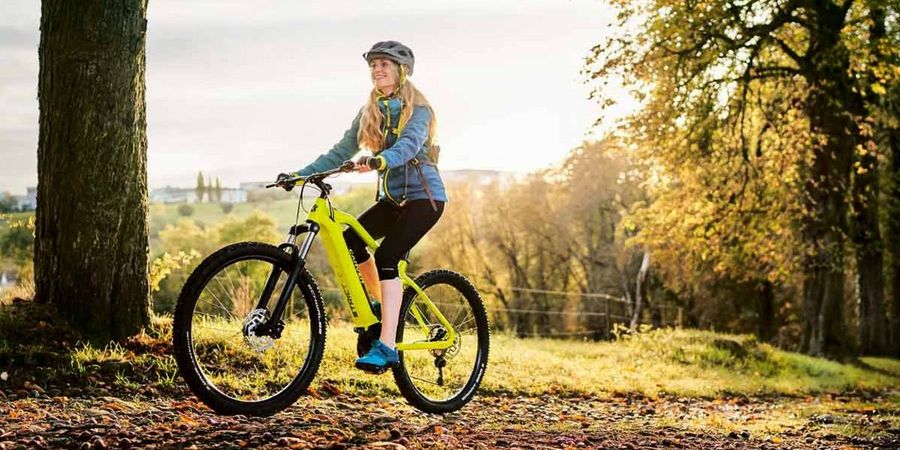 Fahrrad XXL Carver SUV-E-Bike Fahrrad XXL Carver SUV-E-Bike