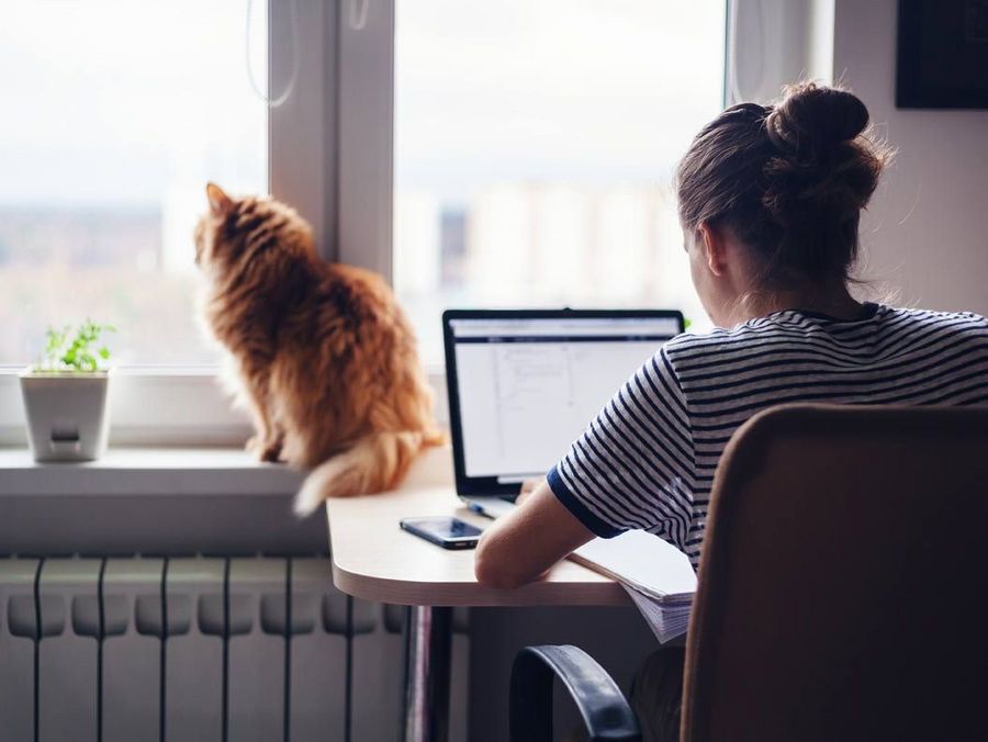 Produktiver im Homeoffice mit der richtigen Einrichtung