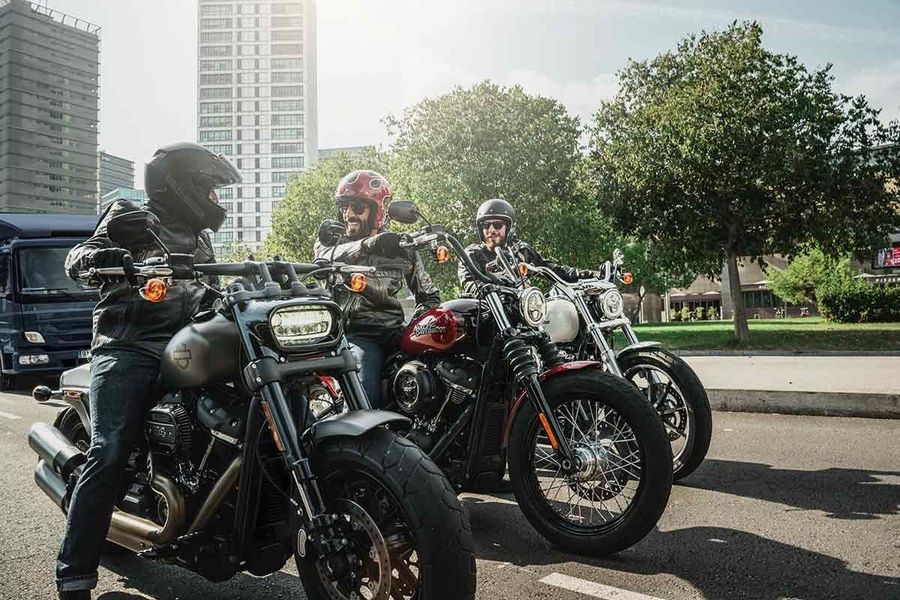 Harley Davidson Bikes Harley Davidson Bikes