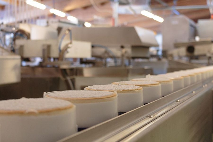 Stabinger Produktionsbereich ricottatörtchen Stabinger Produktionsbereich ricottatörtchen