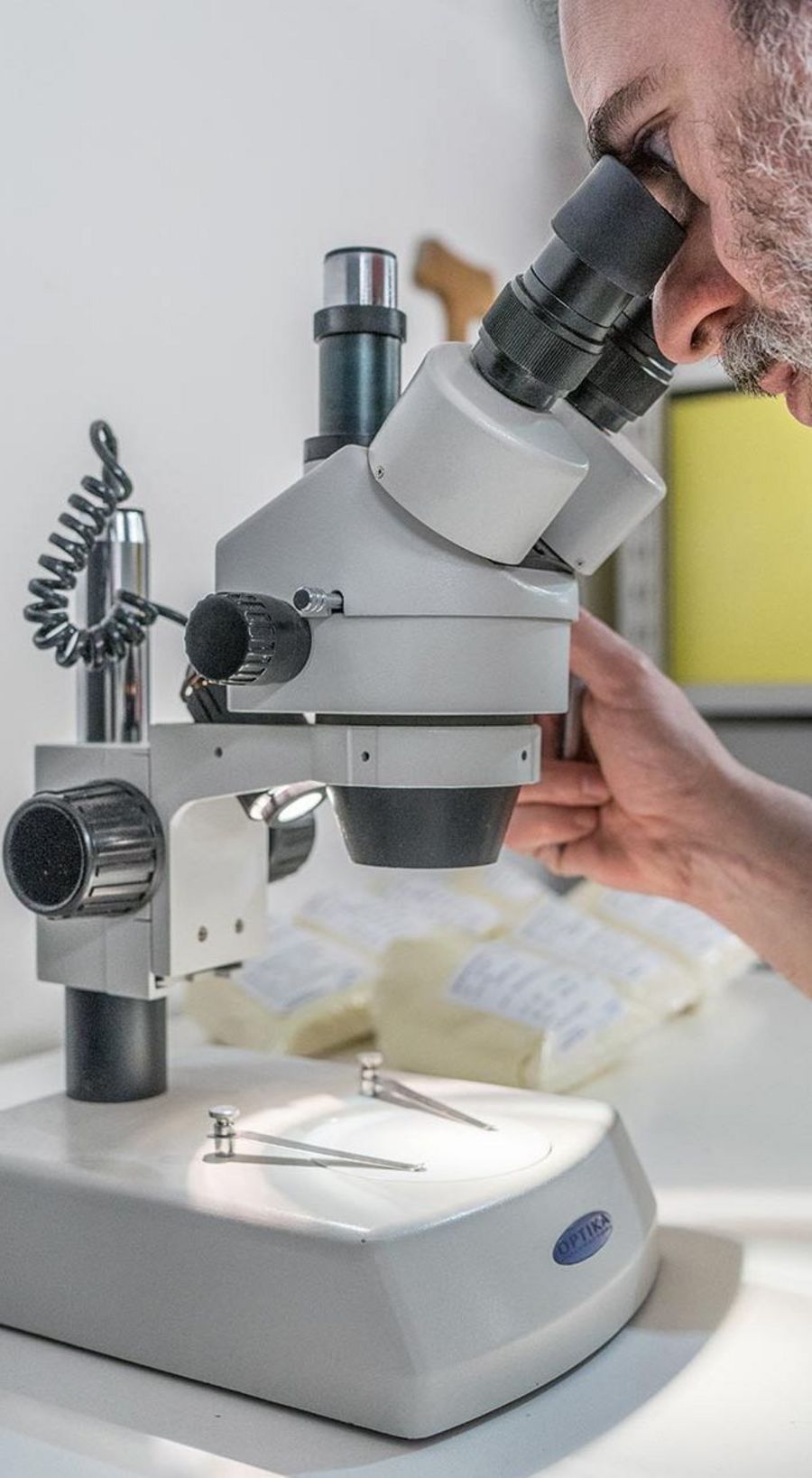 Molitoria Umbra research Molitoria Umbra research