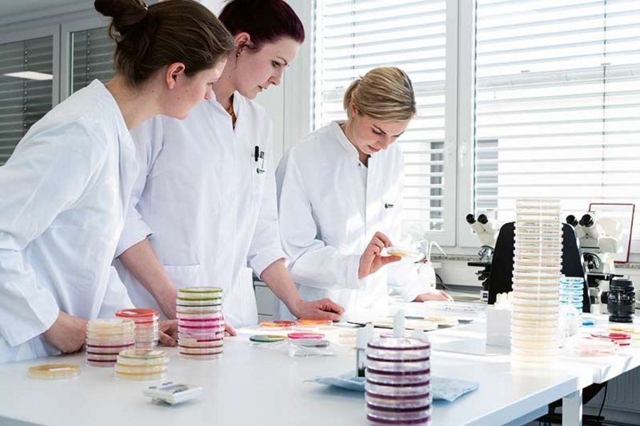 Tentamus Laborarbeiten Tentamus Laborarbeiten