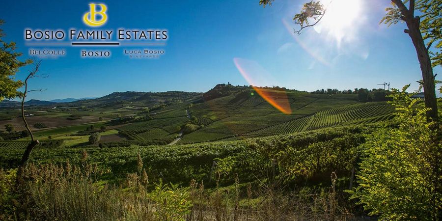 Bosio family estates srl Bosio family estates srl