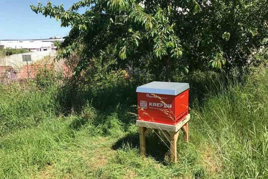 KAEFER Industrie Bienen KAEFER Industrie Bienen