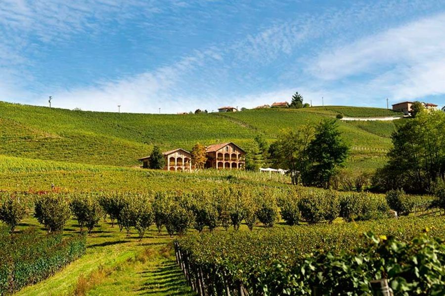 Batasiolo Weinanbau Batasiolo Weinanbau