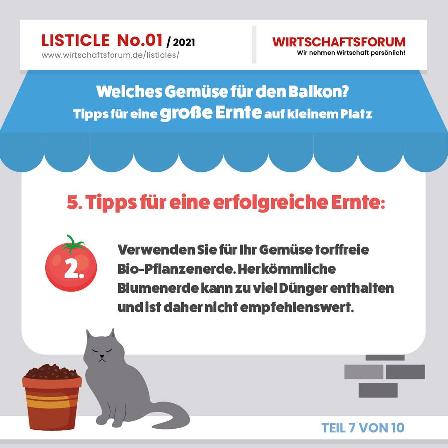 Gemüse für den Balkon