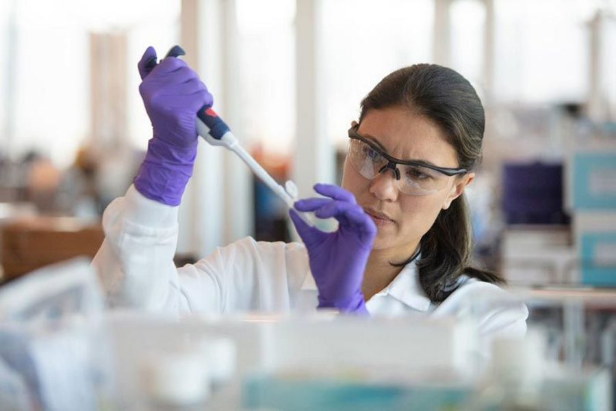 Merck Sharp & Dohme Laborarbeiten Merck Sharp & Dohme Laborarbeiten