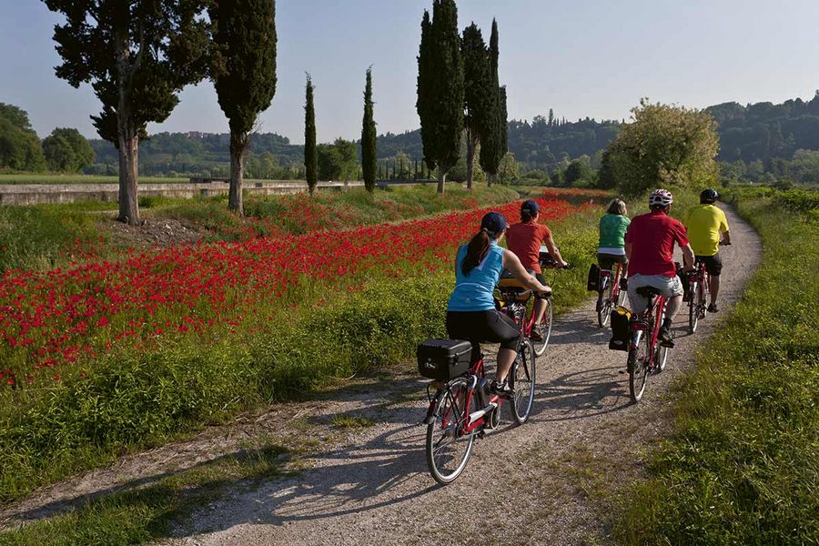 Die Eurobike-Fahrradtouren werden für unterschiedliche Leistungsklassen angeboten. Die Eurobike-Fahrradtouren werden für unterschiedliche Leistungsklassen angeboten.