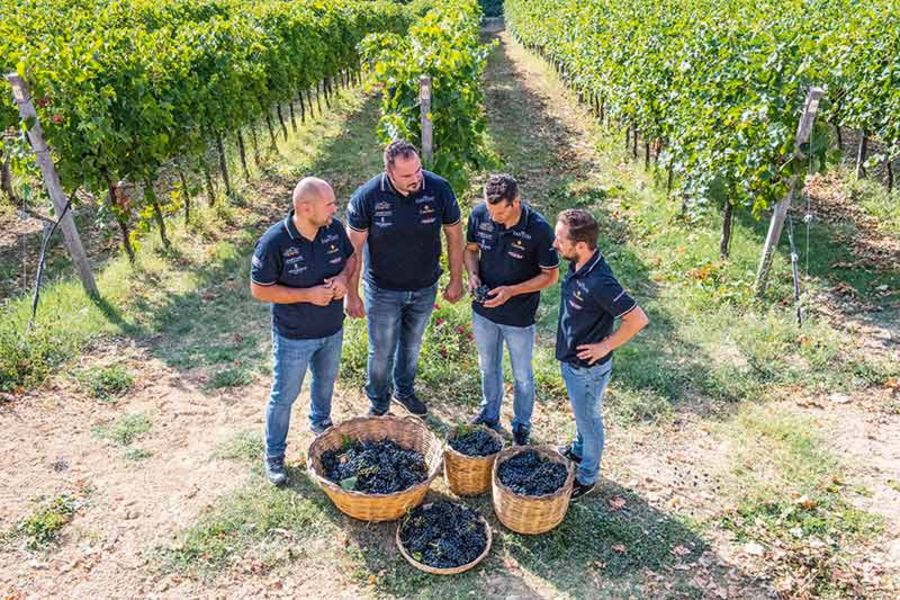 Farnese Vini Team Farnese Vini Team