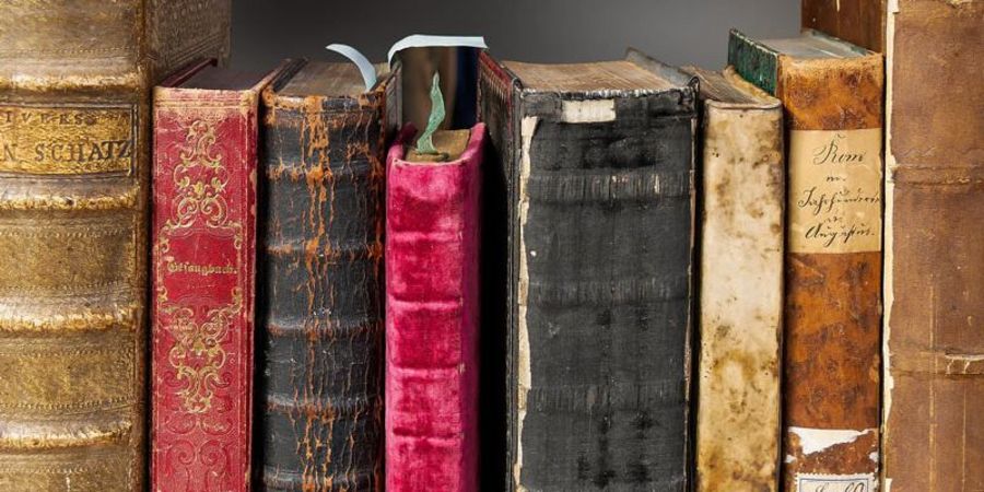 Bücher Bücher
