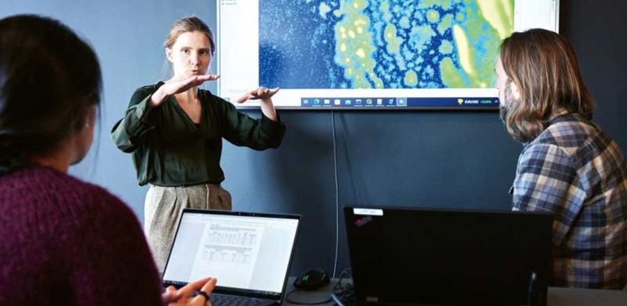 DHI WASY Vorhersage am Computer DHI WASY Vorhersage am Computer