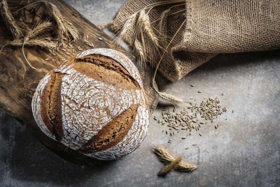 Backwelt PILZ Bio-Brot Backwelt PILZ Bio-Brot