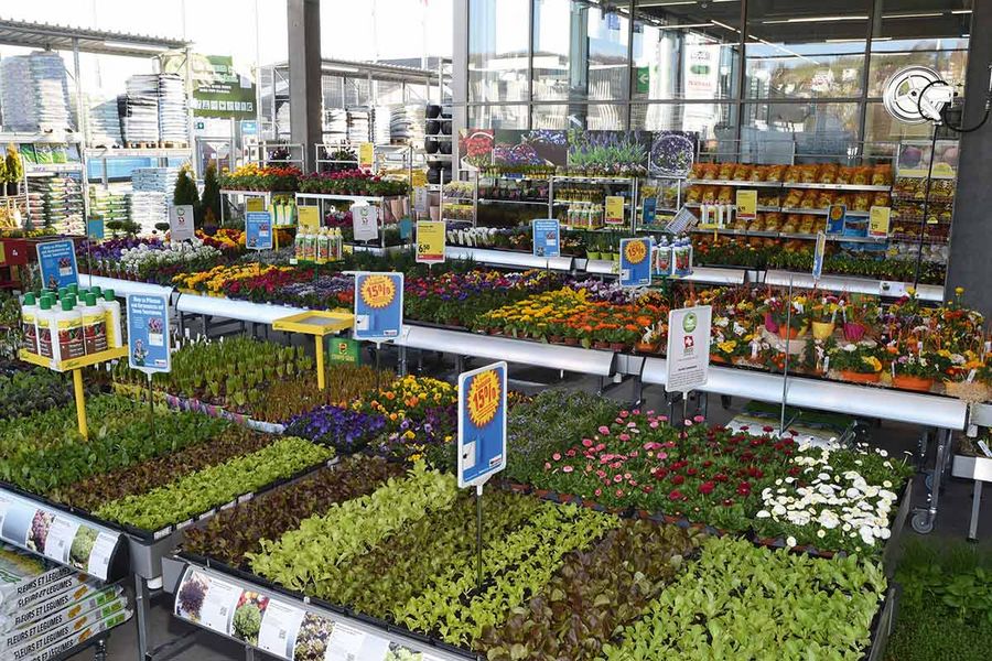 Der Garten- und Außenbereich ist seit vielen Jahren ein Hauptsegment von Jumbo Der Garten- und Außenbereich ist seit vielen Jahren ein Hauptsegment von Jumbo
