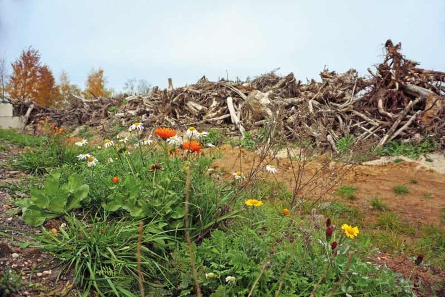 RÖSL Naturschutz RÖSL Naturschutz