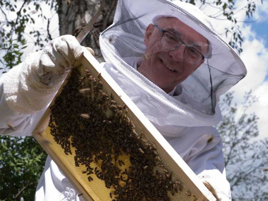 Bee-Rent GmbH Bee-Rent GmbH