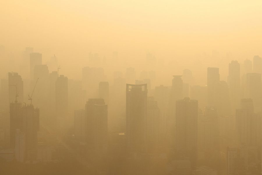 Wenn Wirtschaft über alles gestellt wird, leidet immer die Umwelt darunter