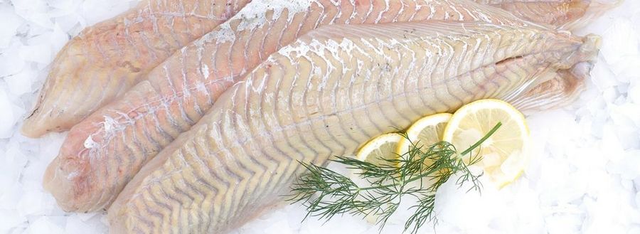 West Fish GmbH