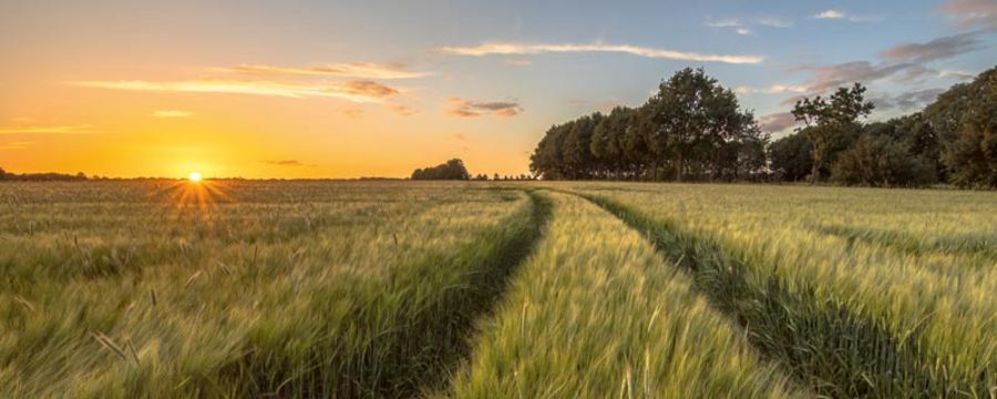 BBV Service Versicherungsmakler AdobeStock_202119788 BBV Service Versicherungsmakler AdobeStock_202119788